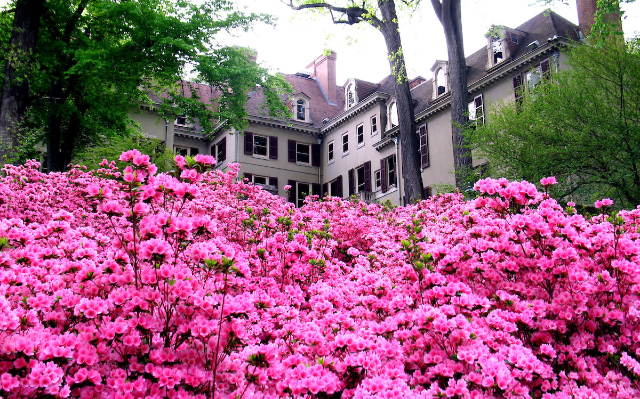 温特图尔博物馆、花园和图书馆 - Winterthur | Secret World Trip Planner