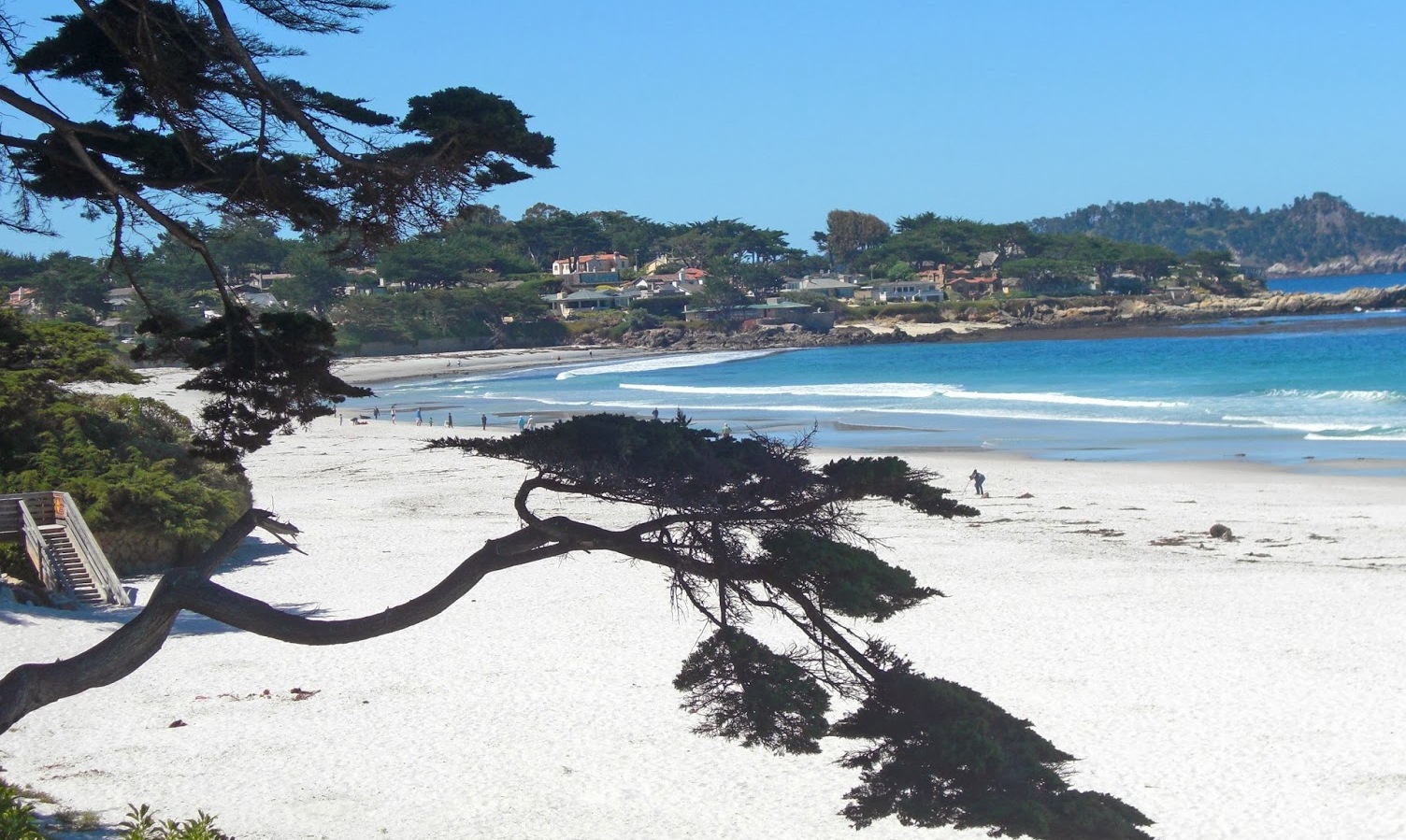 American Beauties | Carmel-by-the-Sea - Carmel-by-the-Sea | Secret World Trip Planner