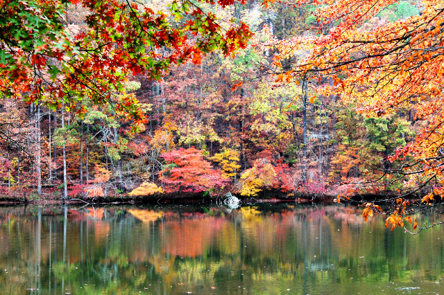 Uwharrie National Forest - Troy | Secret World Trip Planner