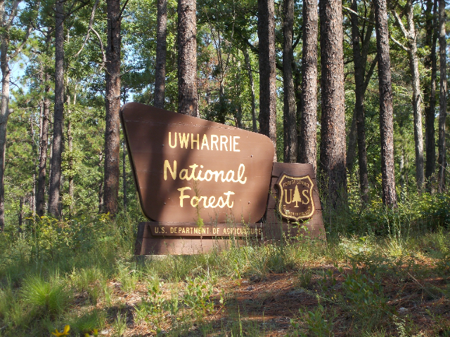 Uwharrie National Forest - Troy | Secret World Trip Planner