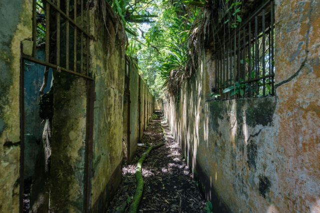 Devil's Island: A Journey Through the Dark Chapters of Colonial and Pen - Devil's Island | Secret World Trip Planner
