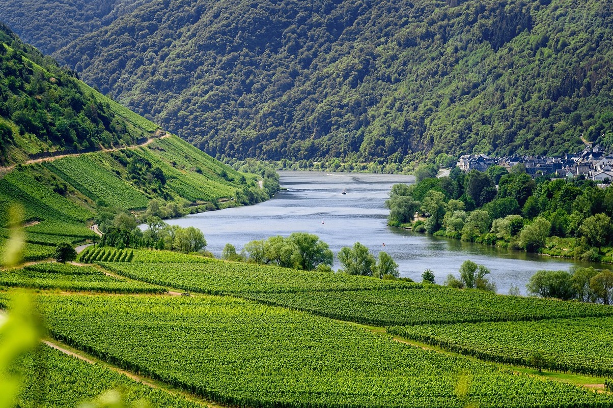Château-Chalon et les vignobles de la vallée de la Seille - Château-Chalon | Secret World Trip Planner