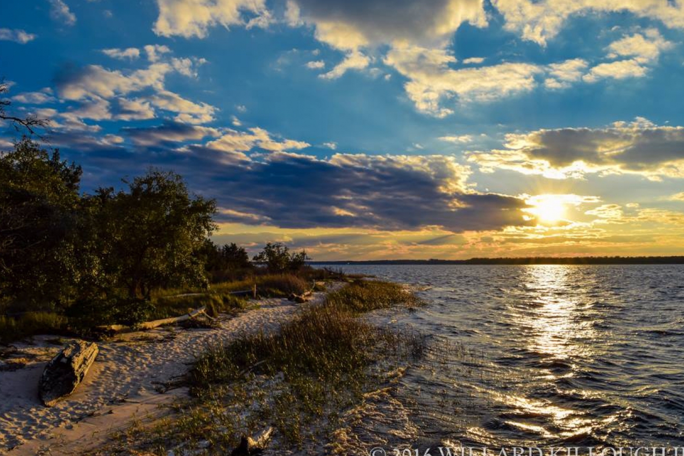 Carolina Beach State Park — Carolina Beach