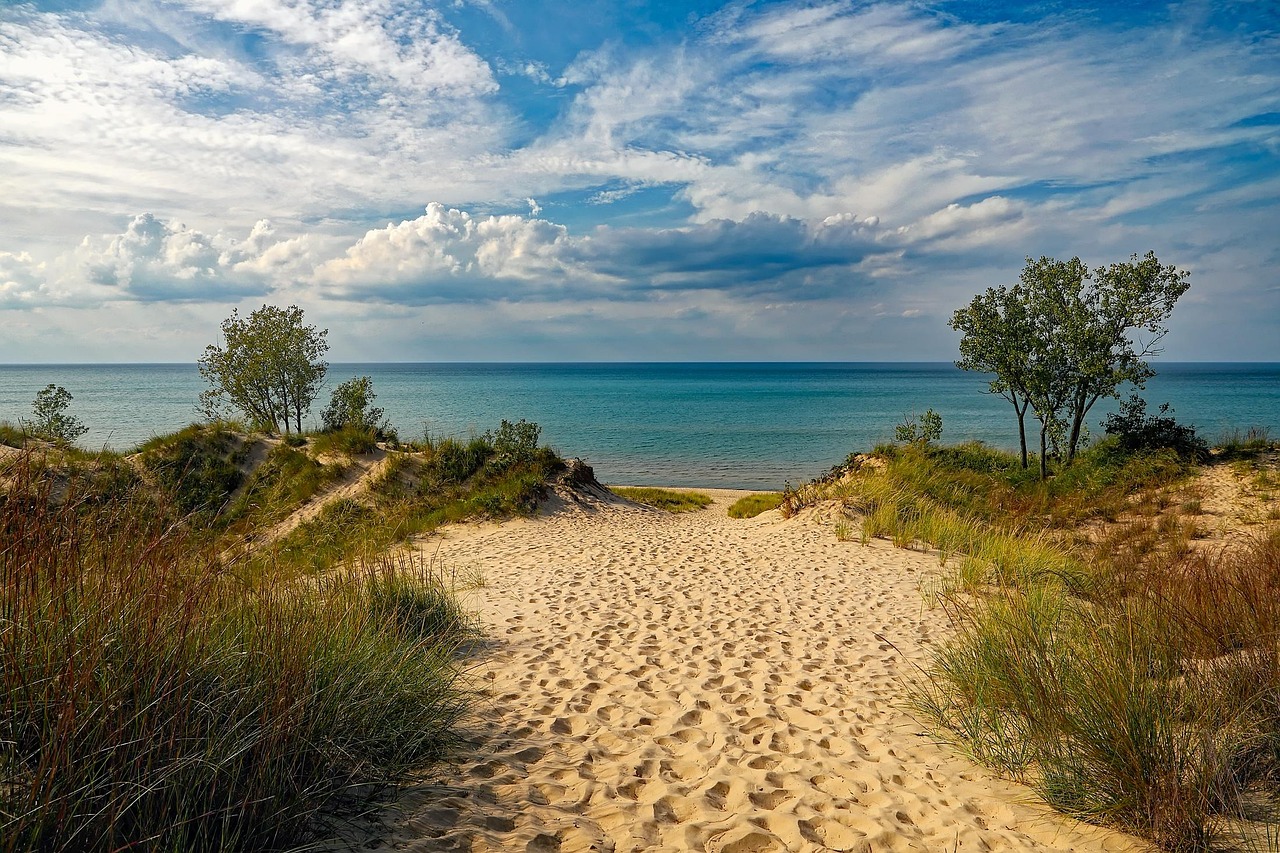 Carolina Beach State Park - Carolina Beach | Secret World Trip Planner