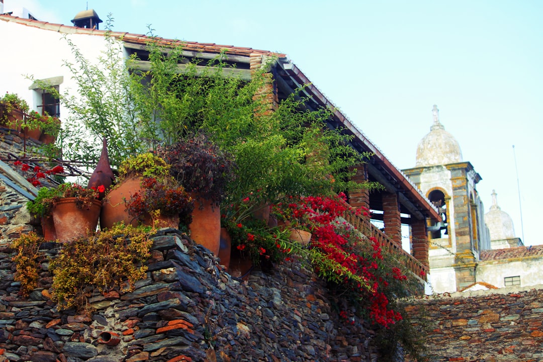 The walled, white Portuguese village of Monsaraz - Monsaraz | Secret World Trip Planner