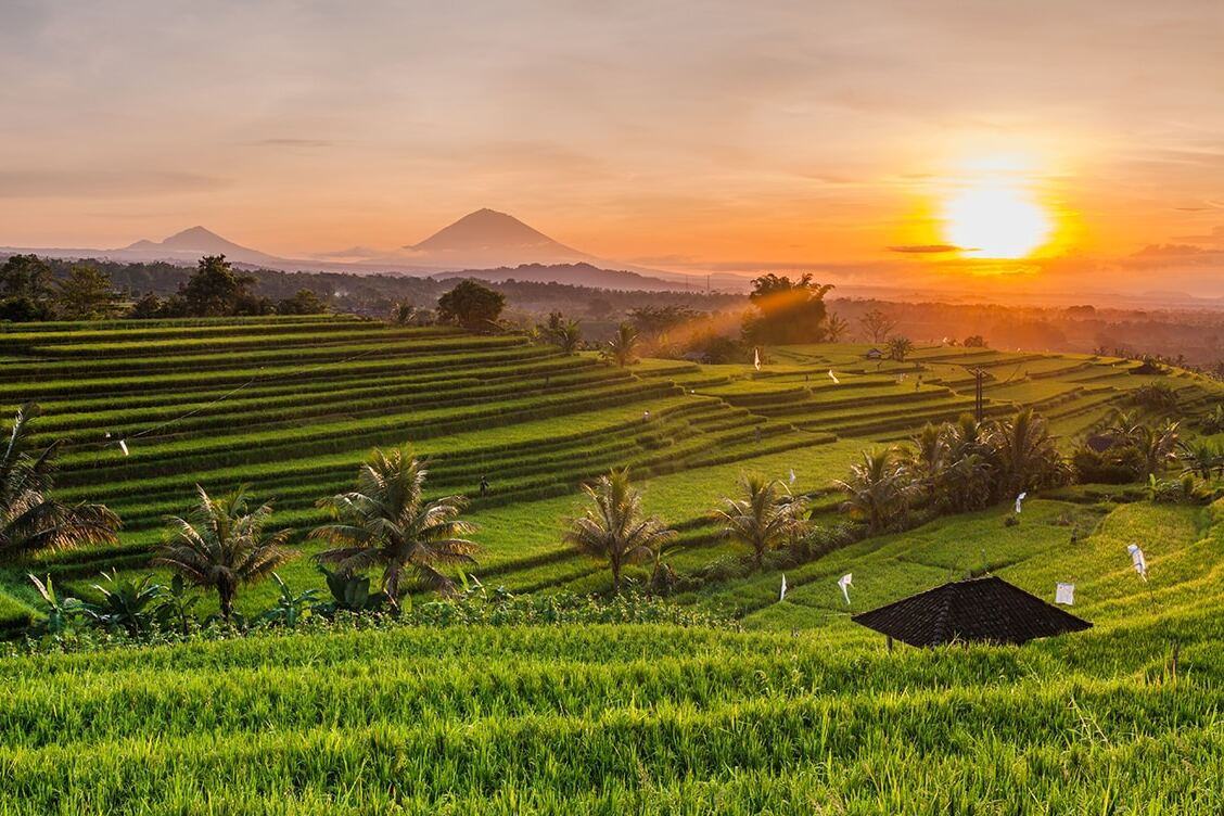 Indonésie | Ubud — Kabupaten Gianyar
