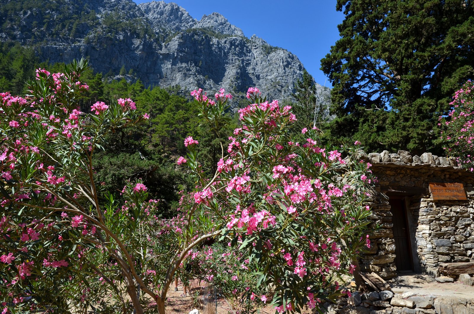 Gola di Samaria: uno dei trekking più famosi d'Europa - Sfakia 730 11 | Secret World Trip Planner