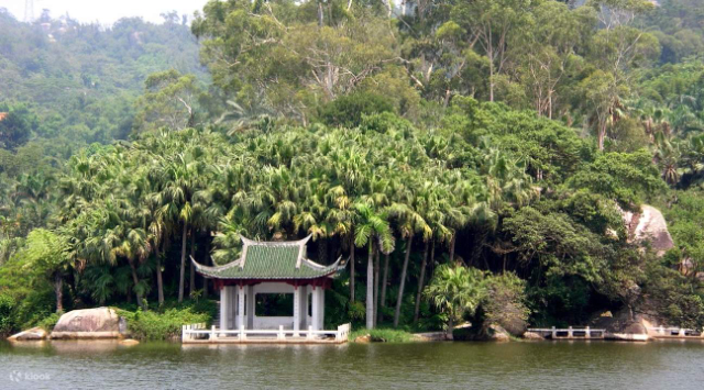 Le monde de la forêt tropicale - Xiamen | Secret World Trip Planner