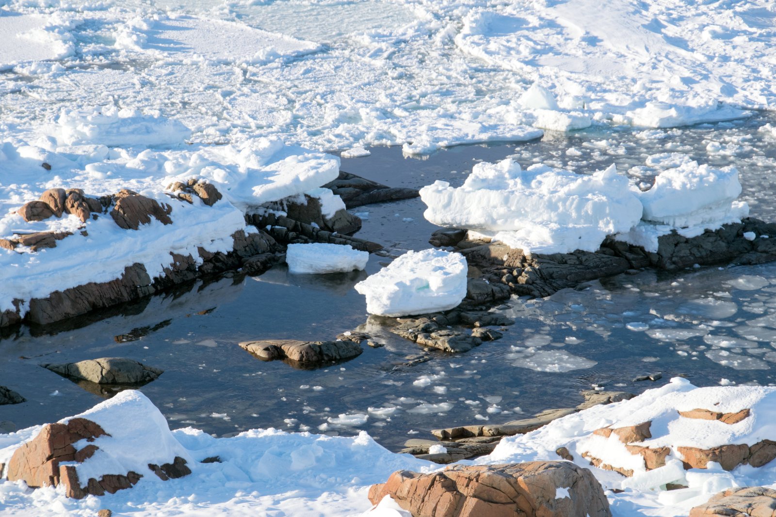 Fogo Island Inn: the hotel on the edge of the Earth - Joe Batt's Arm | Secret World Trip Planner