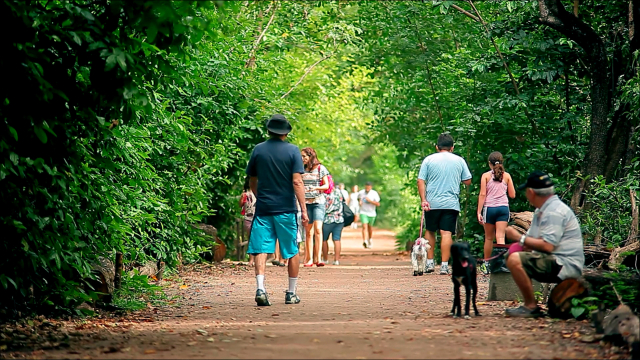 Cocó State Park - Fortaleza - CE | Secret World Trip Planner