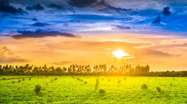 The Tetulia tea gardens - Tetulia | Secret World Trip Planner