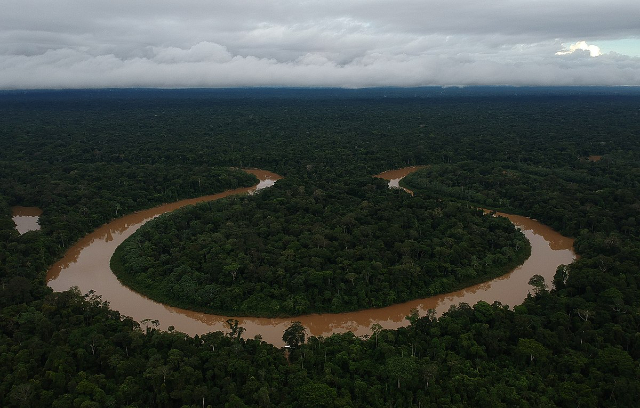 The Vale do Javari  — Vale do Javari