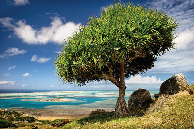 Rodrigues: A Hidden Gem in the Indian Ocean - Rodrigues | Secret World Trip Planner