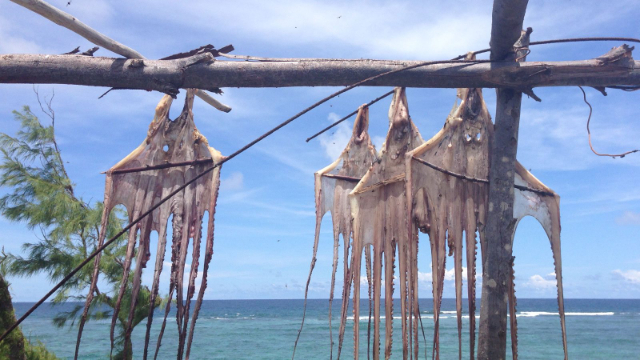 Rodrigues: A Hidden Gem in the Indian Ocean - Rodrigues | Secret World Trip Planner