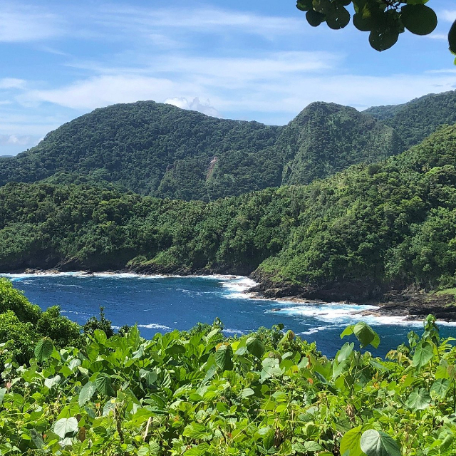 The National Park of Samoa - Vatia | Secret World Trip Planner