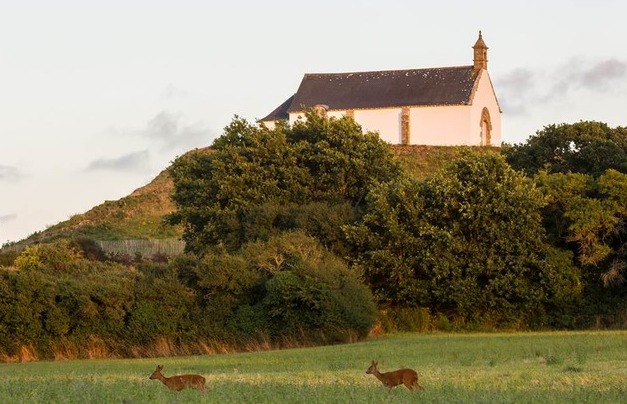 Carnac | Il Tumulo di San Michele — Carnac
