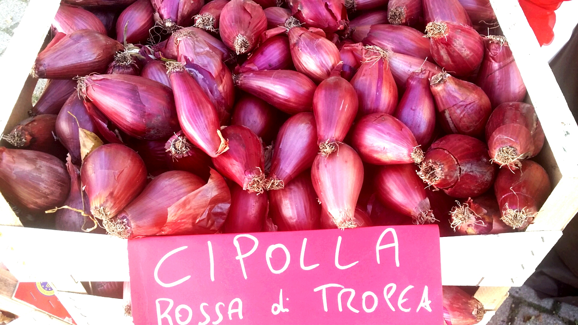 پیاز قرمز تروپیا - Tropea | Secret World Trip Planner