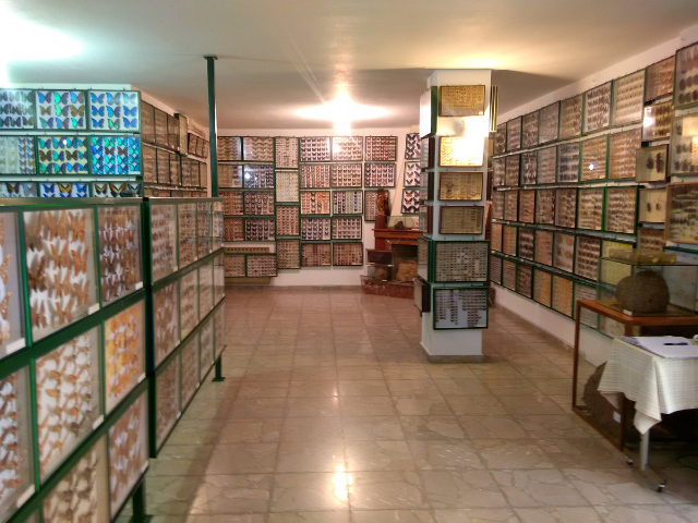 Museo Entomologico di Volos - Volos | Secret World Trip Planner