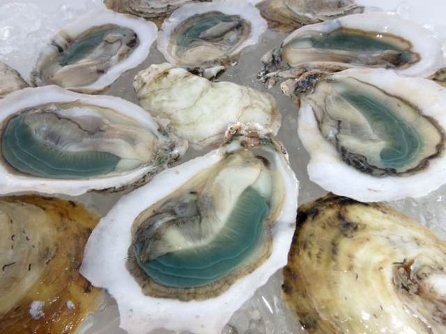 Green Gill Oysters - Carolina Beach | Secret World Trip Planner