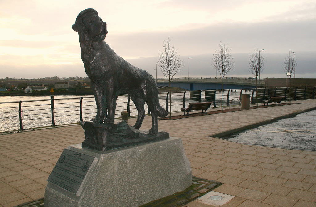 Bamse Dog Hero - Wharf St | Secret World Trip Planner