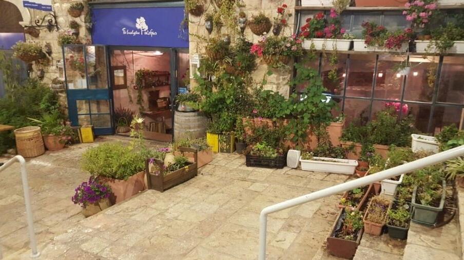 L’Eucalyptus e la cucina biblica - Jerusalem | Secret World Trip Planner