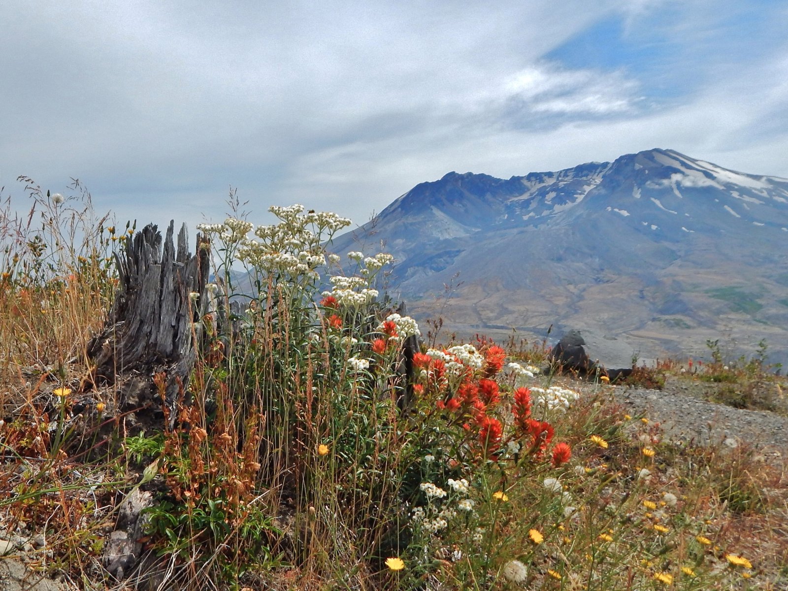 Mount St. Helens - Monte Sant'Elena | Secret World Trip Planner