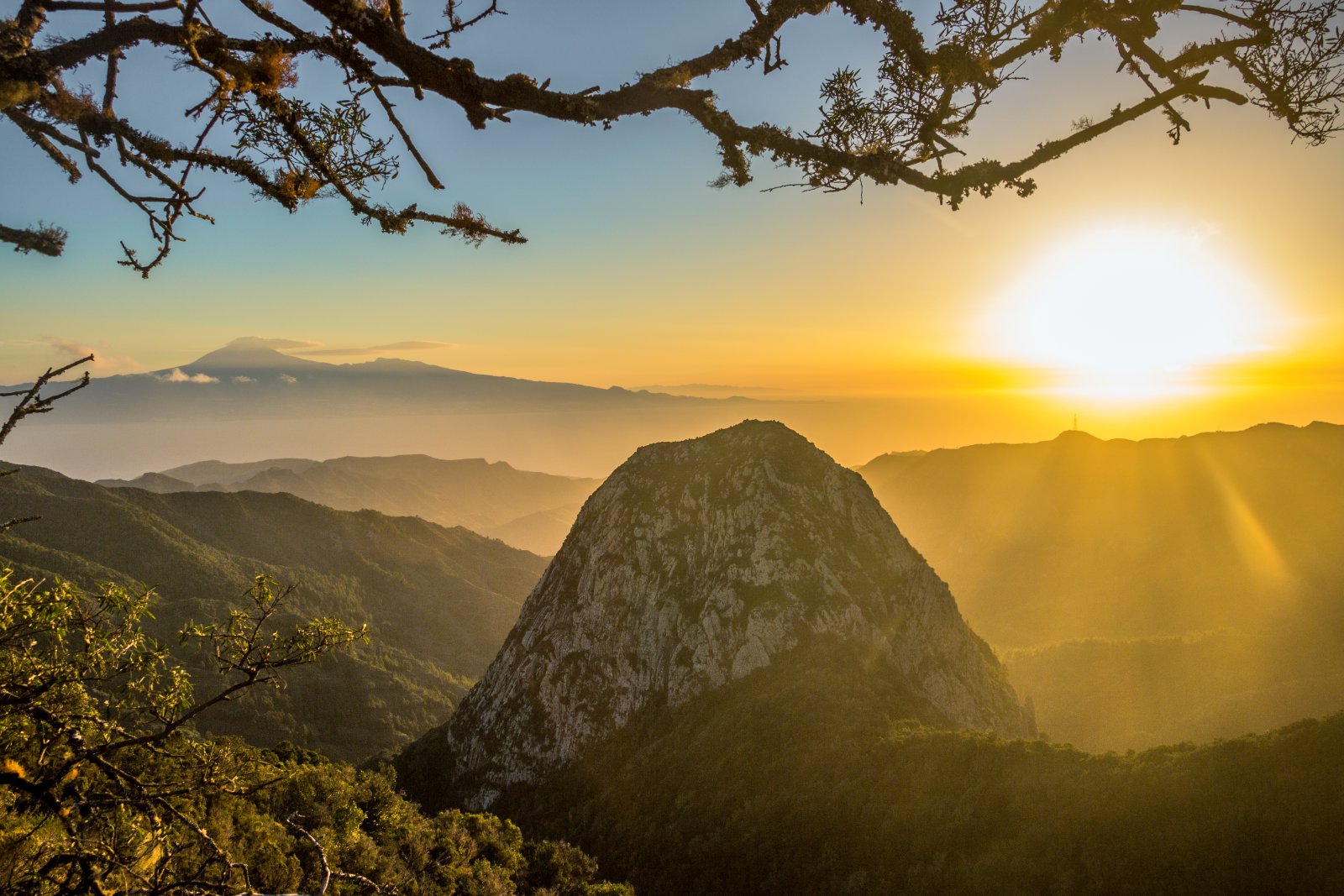 L'isola di La Gomera e la foresta dell'alloro - La Palmita | Secret World Trip Planner