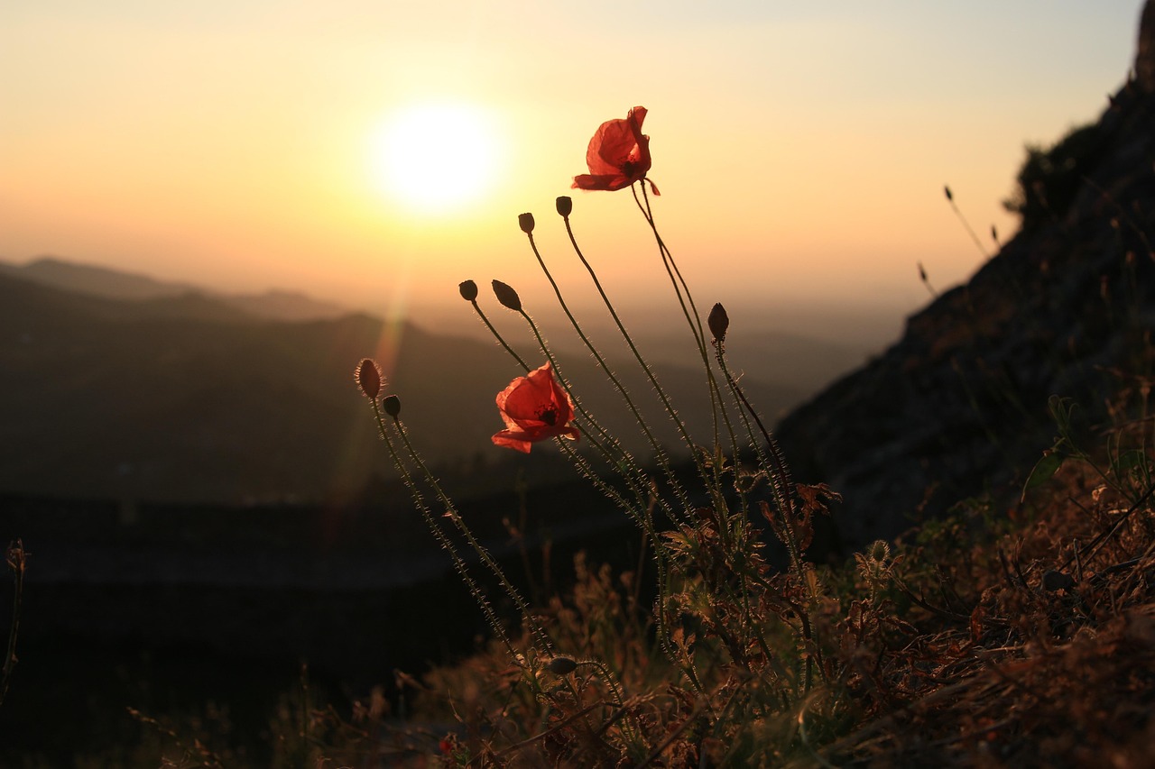 Marvão: una bellissima cittadina medioevale - Marvão | Secret World Trip Planner