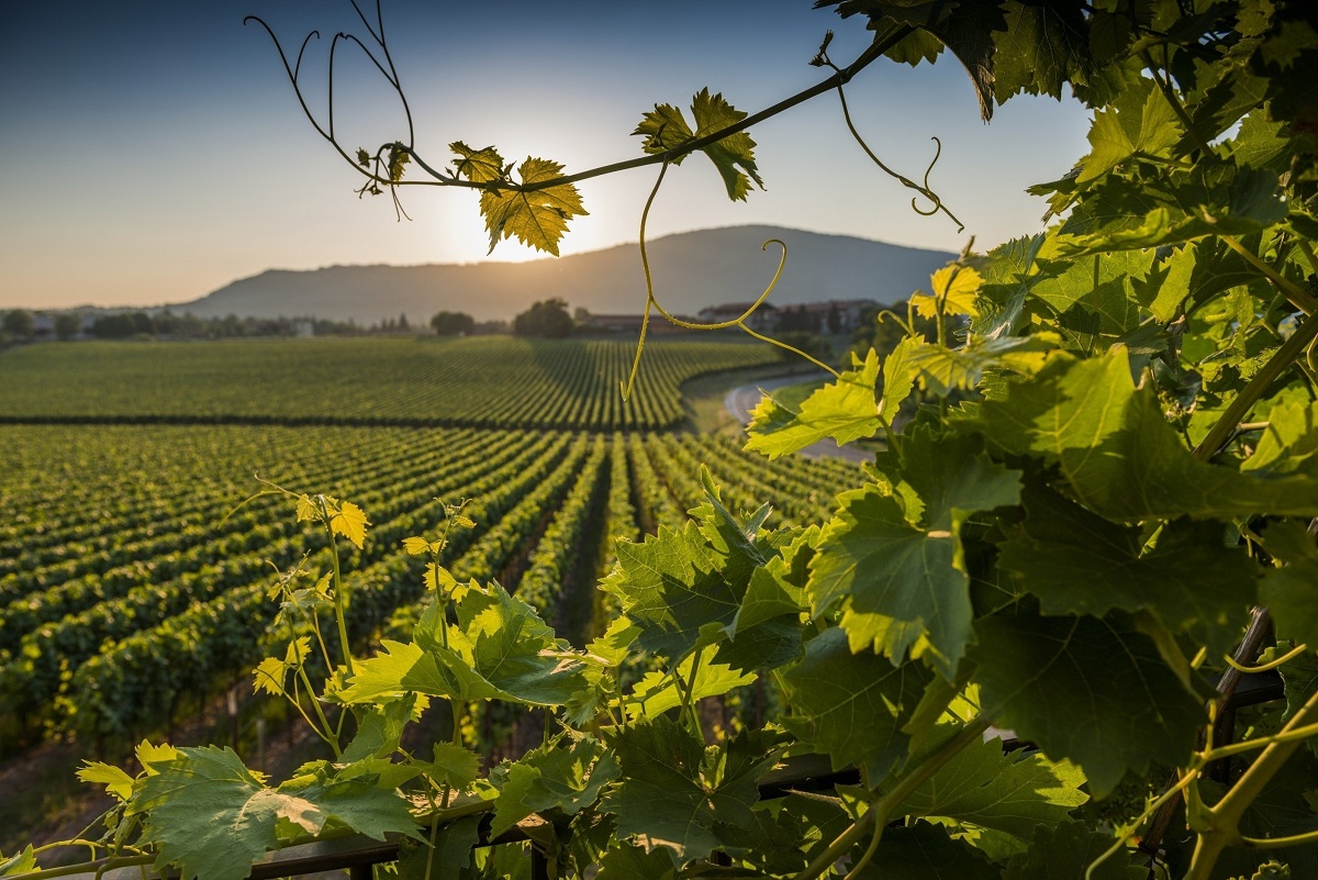 Franciacorta - Provaglio d'Iseo | Secret World Trip Planner