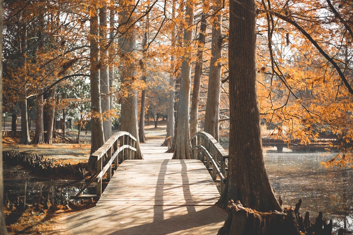Langley Park Gardens in Montrose - Langley Park | Secret World Trip Planner