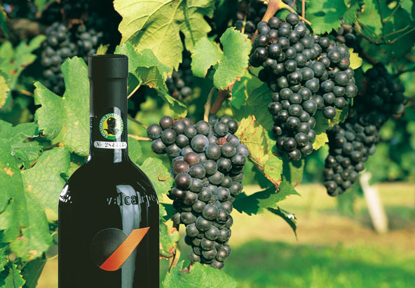 Valcalepio crvena - Provincia di Bergamo | Secret World Trip Planner