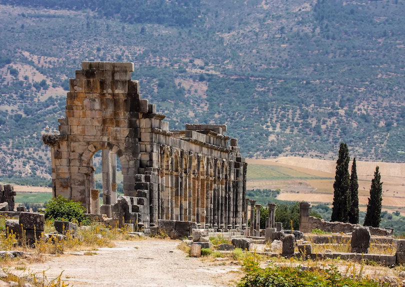 Archaeological Site of Volubilis - Meknes | Secret World Trip Planner
