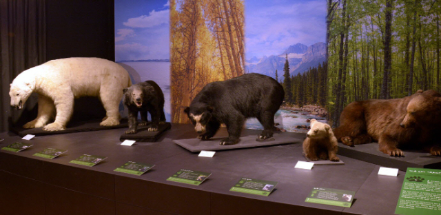 जुरासिका संग्रहालय - Porrentruy | Secret World Trip Planner