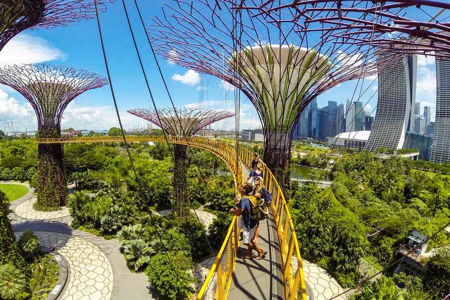 Il Giardino Botanico di Singapore — Singapore