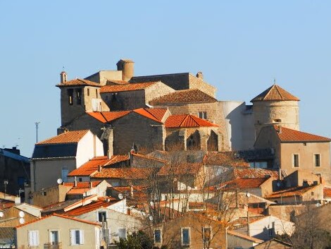 Château de Puissalicon — Puissalicon