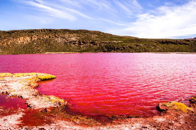 Lagon rouge - Tarapacá | Secret World Trip Planner