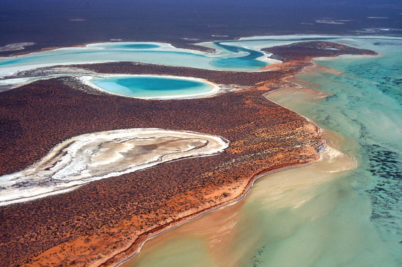Shark Bay, Australia Occidental - Contea di Shark Bay | Secret World Trip Planner