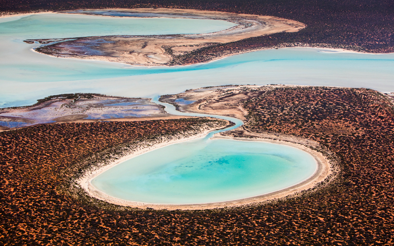 Shark Bay, Australia Occidental - Contea di Shark Bay | Secret World Trip Planner