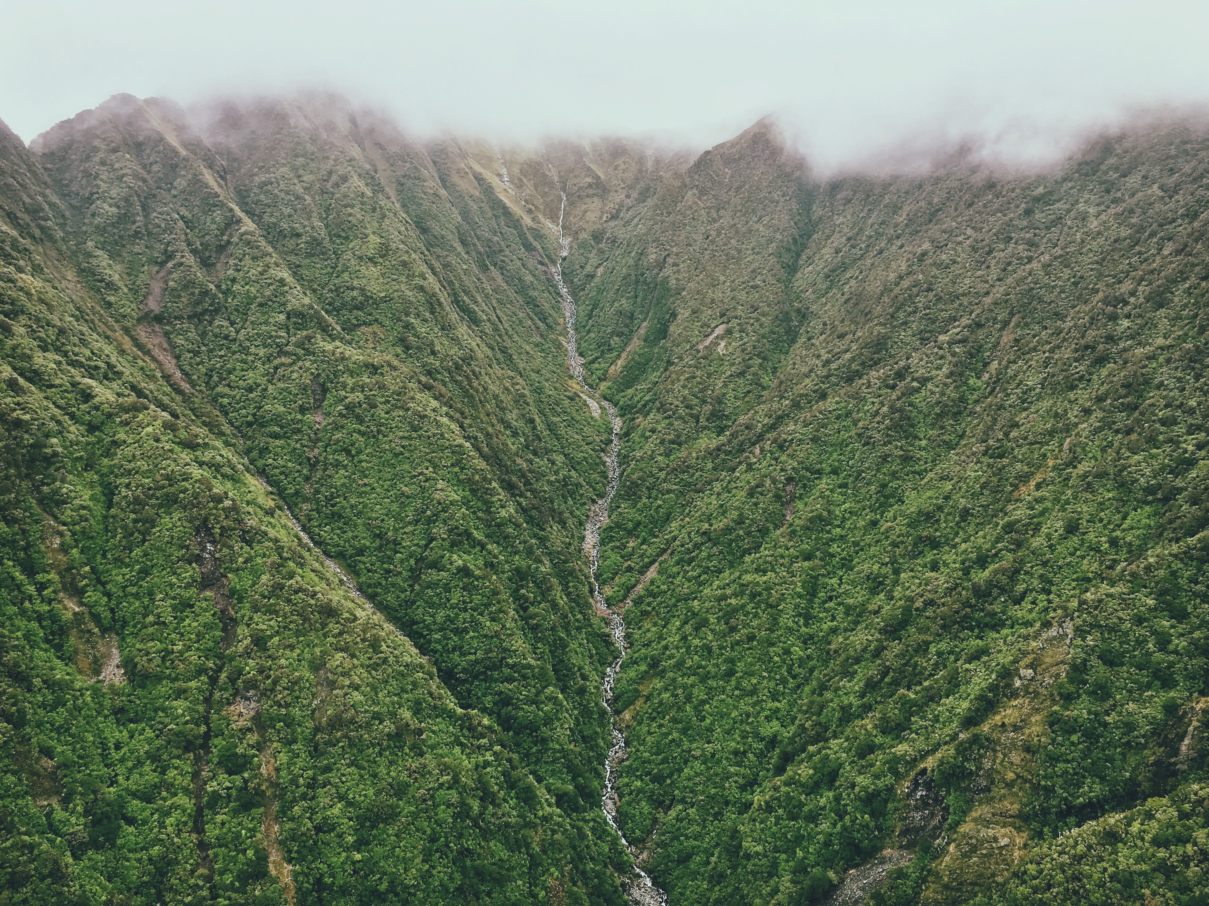 Franz Josef Glacier - Franz Josef Glacier | Secret World Trip Planner