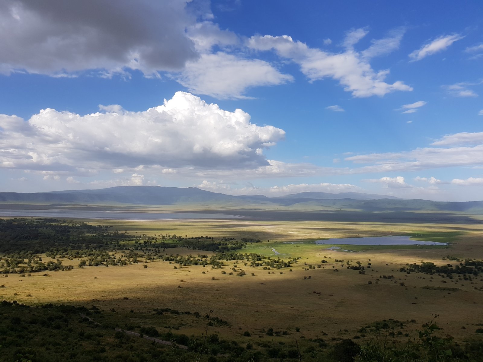 Ngorongoro Crater,the largest caldera in the world - Ngorongoro Crater | Secret World Trip Planner
