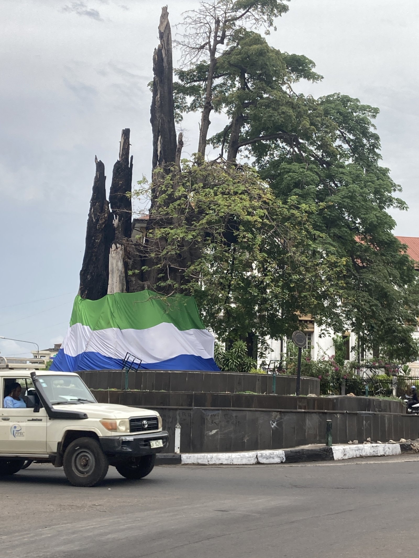 The famous Cotton Tree of Freetown - Freetown | Secret World Trip Planner