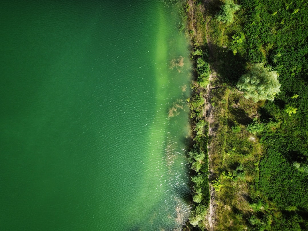 Austria |Il Lago Verde e la foresta incantata sottomarina - Green Lake | Secret World Trip Planner