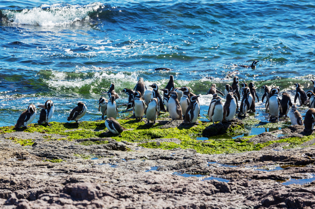 Rizab Negara Magallanes - Monterusciello | Secret World Trip Planner