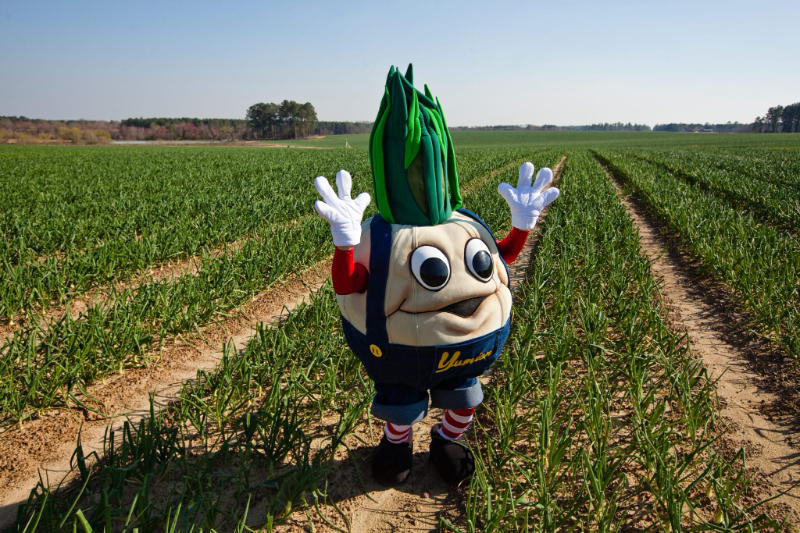 Vidalia Onion Festival - Vidalia | Secret World Trip Planner