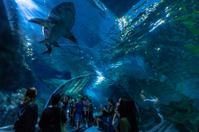Jeta e Detit Bota e Oqeanit Bangkok - Khet Pathum Wan | Secret World Trip Planner
