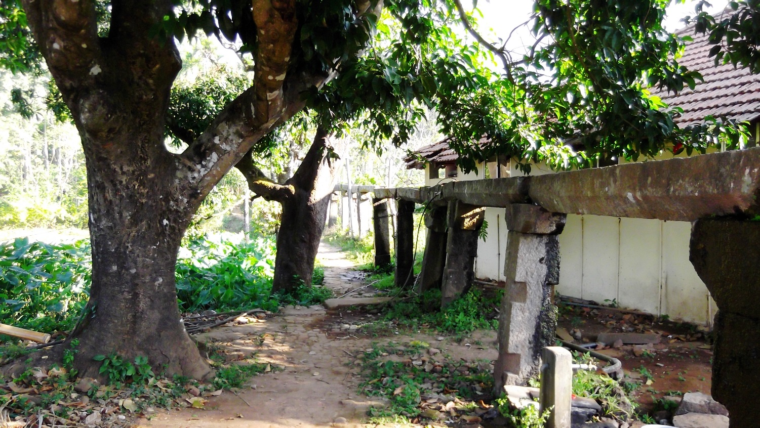 Sree Thirunelli Mahavishnu Temple - Thirunelly | Secret World Trip Planner