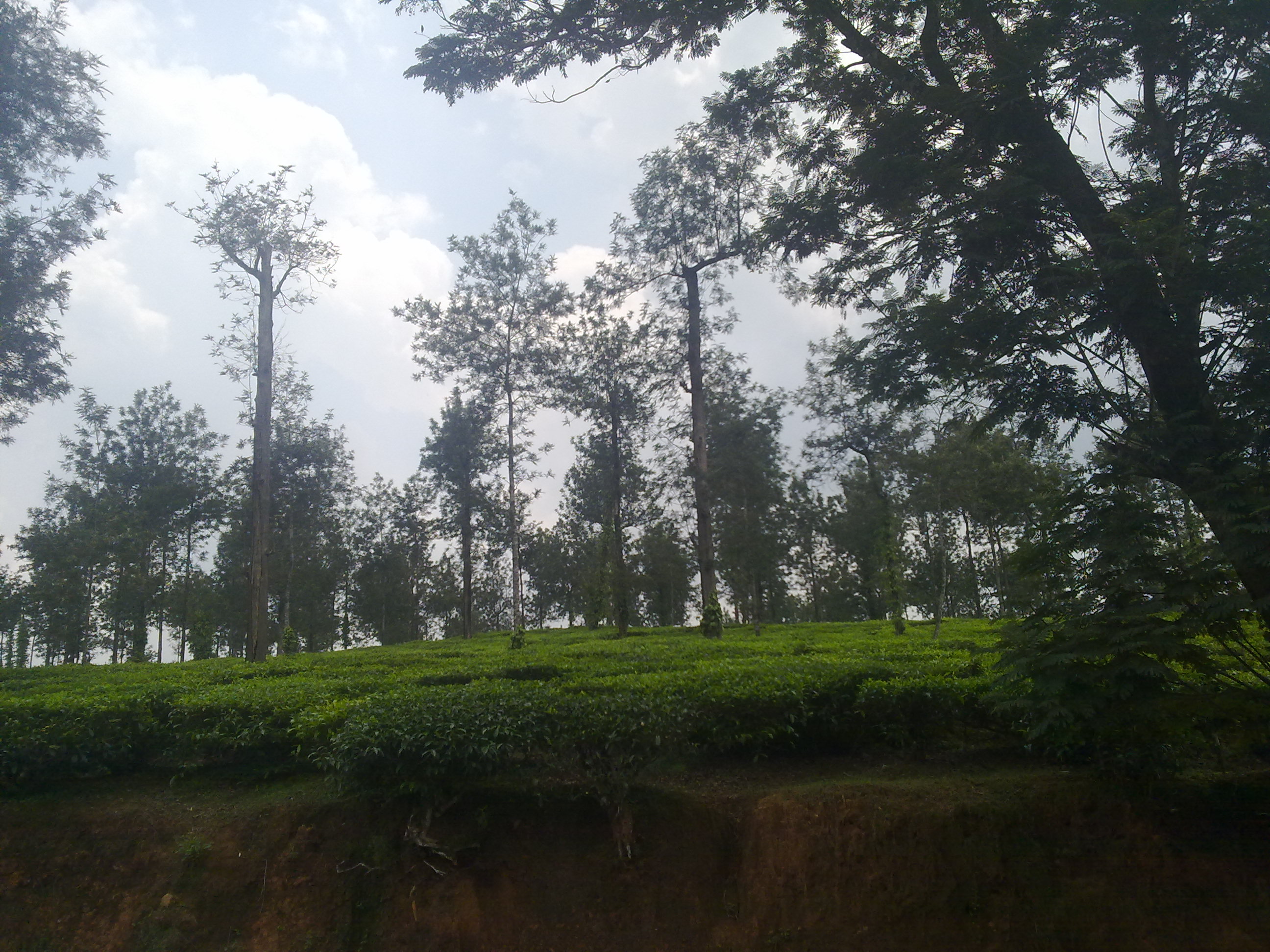 Edakkal Caves in North Kerala - Nenmeni | Secret World Trip Planner