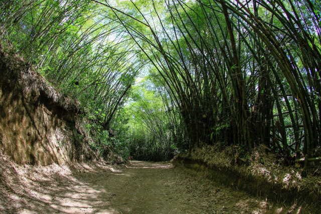 Stadtpark Maceio - Maceió - AL | Secret World Trip Planner