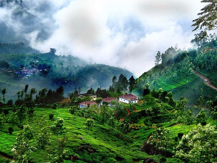 Coorg... Indijska Škotska - Distretto di Kodagu | Secret World Trip Planner