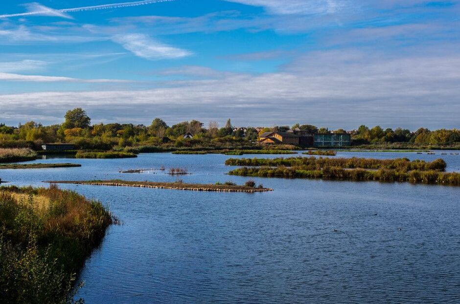 Londres Humidal Centro: un birdwatcher Paraíso - Londra | Secret World Trip Planner